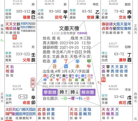 紫微斗数 2024|紫微斗数占いスタークローラー